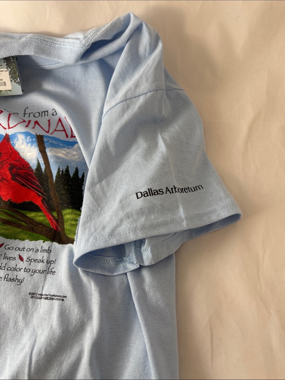 Advice from a Cardinal Graphic Tee - Light Blue - Picture 4 of 8